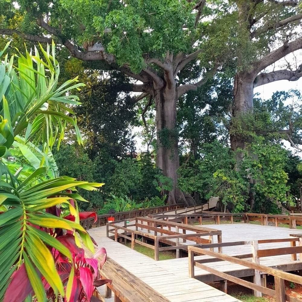 Coral Seas Garden Resort Negril Exterior photo